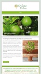 Mobile Screenshot of keylimepietree.com